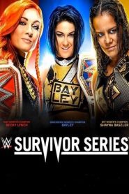 عرض WWE Survivor Series 2019 مترجم اون لاين