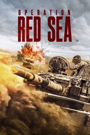 فيلم Operation Red Sea 2018 مترجم اون لاين